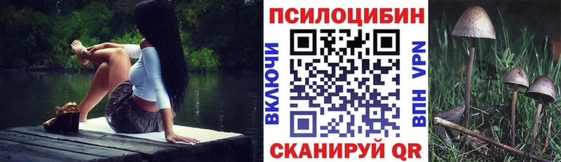 OMG ТОР  Старица  Галлюциногенные грибы Psilocybine cubensis 
